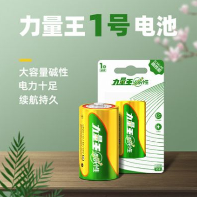 1號電池堿性力量王一號燃氣灶熱水器車位鎖手電筒煤氣干電池